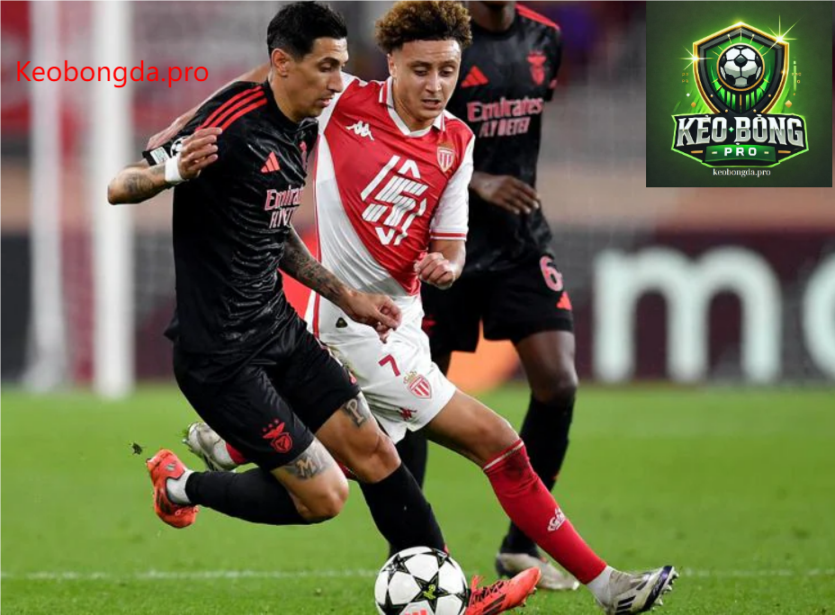 Soi kèo nhà cái Monaco vs Benfica, 03h00 ngày 13/2: Làm Nên Kỳ Tích 