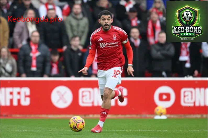 Dự đoán bóng đá Exeter City vs Nottingham Forest, 03h00 ngày 12/2: Cuộc Chiến Mãnh Liệt 